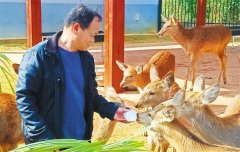 【高质量成长财产调研】林金