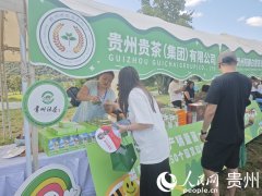 <b>贵州抹茶：从展会热销到全球飘喷鼻</b>